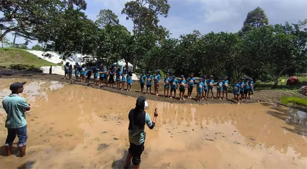 Edukasi pertanian: Siswa belajar mengenal ekosistem sawah dan cara menanam padi